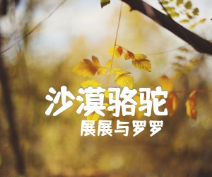 《沙漠骆驼》