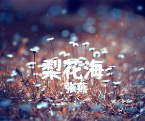 《梨花海吉他谱》_张燕_B调 图片谱1张