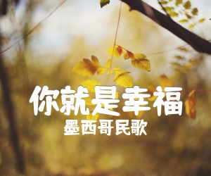 《你就是幸福吉他谱》_墨西哥民歌_C调_吉他图片谱2张