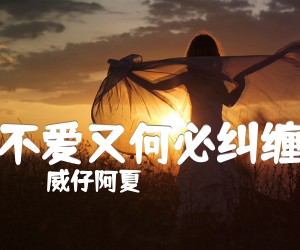 不爱又何必纠缠吉他谱威仔阿夏未知调吉他图片谱2张