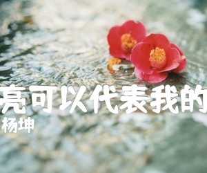 《月亮可以代表我的心吉他谱》_杨坤_G调 图片谱5张