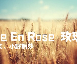 《La Vie En Rose（玫瑰人生）吉他谱》_皮雅芙、小野丽莎_C调 图片谱1张