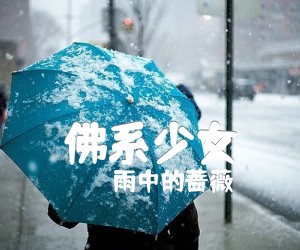 《佛系少女吉他谱》_雨中的蔷薇_吉他图片谱1张