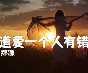 《难道爱一个人有错吗吉他谱》_郑源_吉他图片谱1张