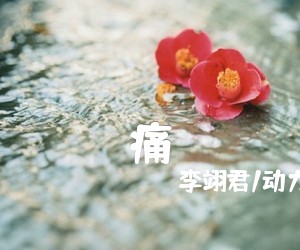 《痛吉他谱》_李翊君/动力火车_E调_吉他图片谱2张