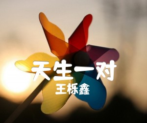 《天生一对吉他谱》_王栎鑫 图片谱1张