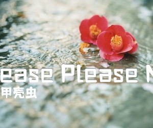 《Please Please Me吉他谱》_甲壳虫 图片谱1张