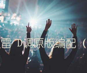 《静下来 赵雷 D调原版编配（音艺乐器）吉他谱》_群星_D调 图片谱1张