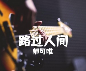 《路过人间吉他谱》_郁可唯_C调 图片谱3张