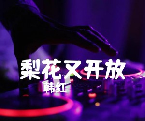 《梨花又开放吉他谱》_韩红_G调_吉他图片谱2张