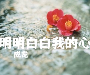 《明明白白我的心吉他谱》_成龙 文字谱