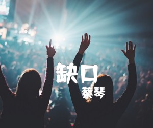 《缺口吉他谱》_蔡琴_G调 图片谱2张