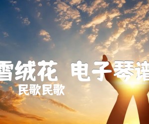 《雪绒花  电子琴谱吉他谱》_民歌民歌_吉他图片谱1张