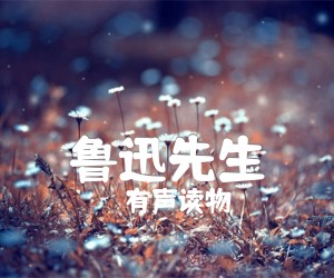 《鲁迅先生吉他谱》_有声读物 图片谱4张