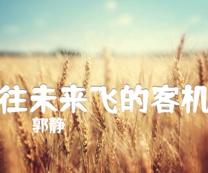 《往未来飞的客机吉他谱》_郭静_G调 图片谱2张