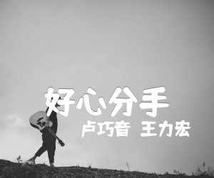 《好心分手吉他谱》_卢巧音  王力宏_G调 图片谱1张