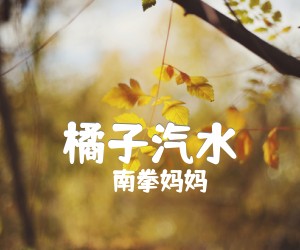 《橘子汽水吉他谱》_南拳妈妈 文字谱