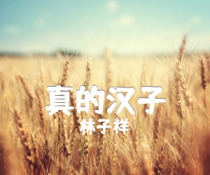 《真的汉子吉他谱》_林子祥_吉他图片谱2张