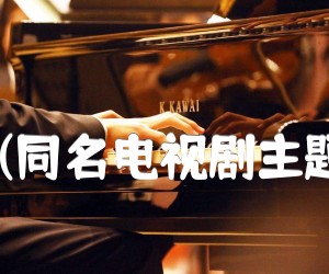 《好爸爸坏爸爸(同名电视剧主题歌) 二胡曲谱吉他谱》_刘为光_G调 图片谱1张