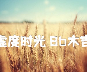 《我想和你虚度时光 Bb木吉他弹唱谱吉他谱》_程壁_B调 图片谱5张