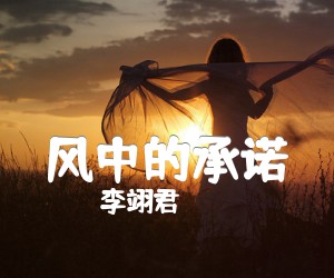 《风中的承诺吉他谱》_李翊君_F调 图片谱3张