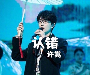 《认错吉他谱》_许嵩_C调_吉他图片谱2张