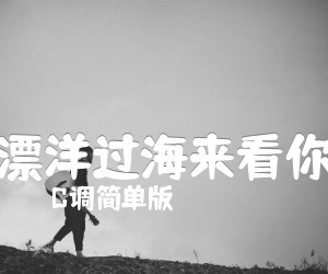 《漂洋过海来看你吉他谱》_C调简单版_C调 图片谱2张