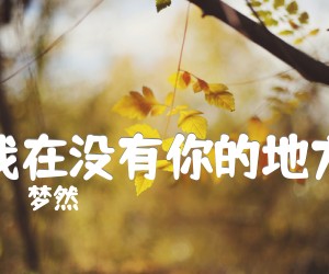 《我在没有你的地方》