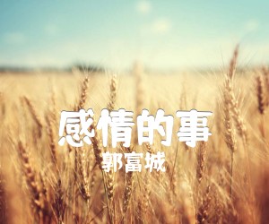 《感情的事吉他谱》_郭富城 文字谱