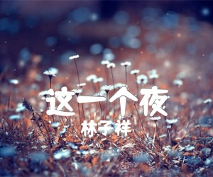 《这一个夜吉他谱》_林子祥 文字谱