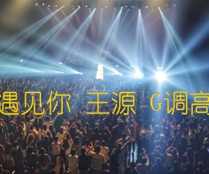 《因为遇见你 王源 G调高清谱吉他谱》_群星_G调 图片谱1张