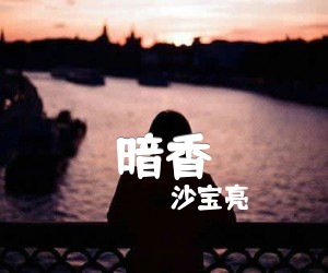 《暗香吉他谱》_沙宝亮_D调 图片谱1张