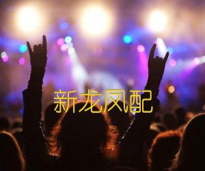 《新龙凤配吉他谱》_佚名 图片谱1张