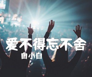 《爱不得忘不舍吉他谱》_白小白_C调 图片谱2张