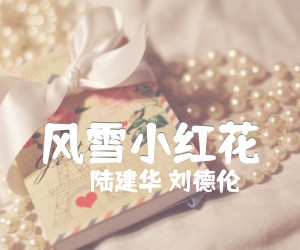 《风雪小红花吉他谱》_陆建华 刘德伦 图片谱1张