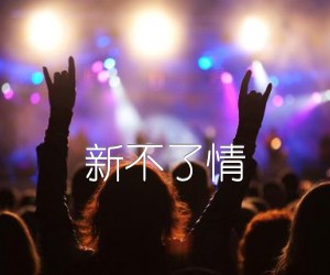 《新不了情吉他谱》_佚名 图片谱1张