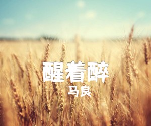 《醒着醉吉他谱》_马良_C调_吉他图片谱2张