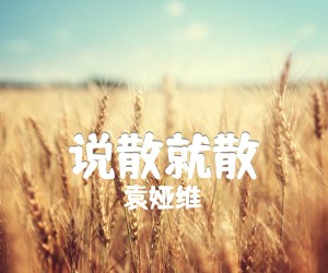 《说散就散吉他谱》_袁娅维_D调 图片谱3张