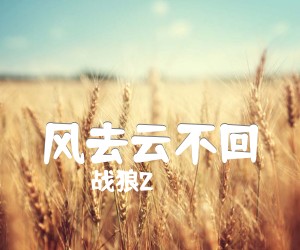 《风去云不回吉他谱》_战狼2_G调 图片谱4张