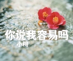 《你说我容易吗吉他谱》_小柯 图片谱1张