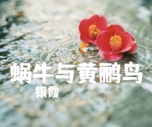 《蜗牛与黄鹂鸟吉他谱》_银霞 图片谱1张