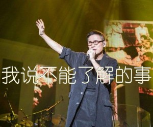 《我说不能了解的事吉他谱》_罗大佑_E调 图片谱2张