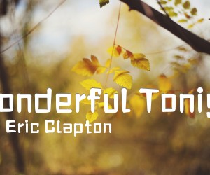 《Wonderful Tonigh吉他谱》_Eric Clapton 图片谱4张