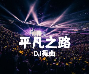 《平凡之路吉他谱》_DJ舞曲_A调_吉他图片谱4张