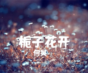 《栀子花开吉他谱》_何炅_C调 图片谱2张