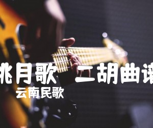 《跳月歌   二胡曲谱吉他谱》_云南民歌_D调 图片谱1张