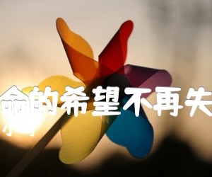 《生命的希望不再失落吉他谱》_小鸣_G调 图片谱2张