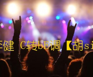 《城市之光 李健 C转bE调【胡sir音乐教室】吉他谱》_群星_bE调_吉他图片谱1张