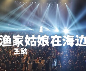 《渔家姑娘在海边吉他谱》_王酩 图片谱1张