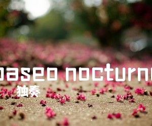 《paseo nocturno吉他谱》_独奏 图片谱1张